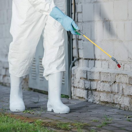 cropped image of pest control worker spraying pesticides with sprayer on building wall